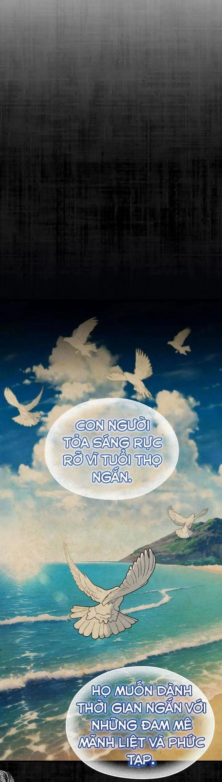 Một Đêm Sâu Đậm Của Adeline Chapter 26 - 3