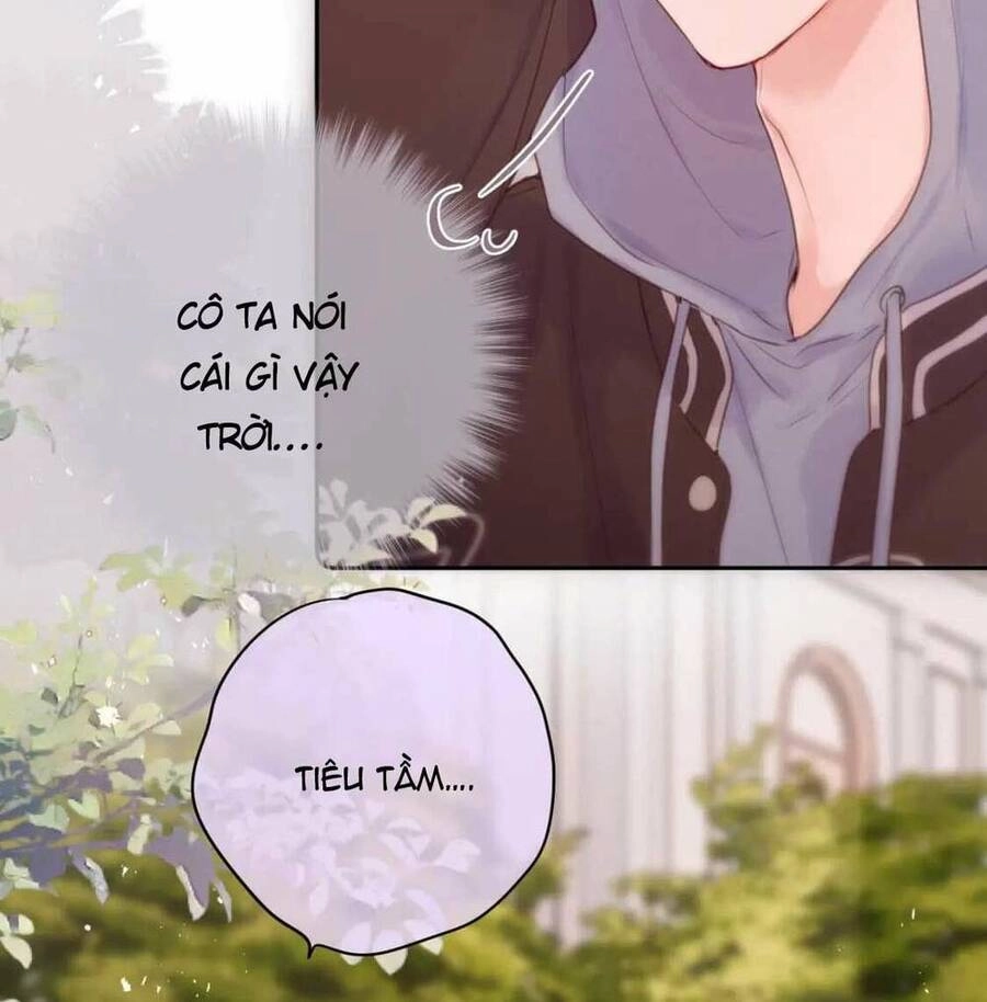 Cạm Bẫy Của Hồ Ly Chapter 61 - 14