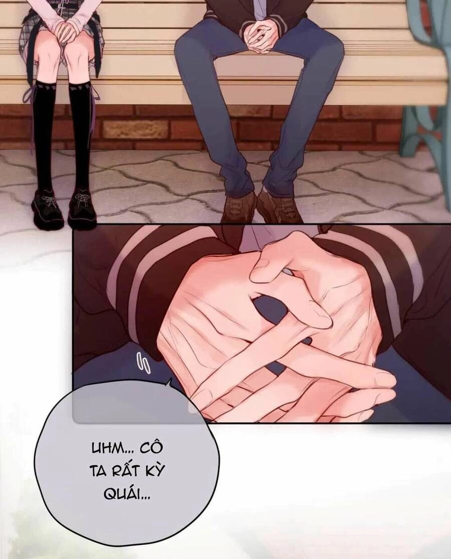 Cạm Bẫy Của Hồ Ly Chapter 61 - 19