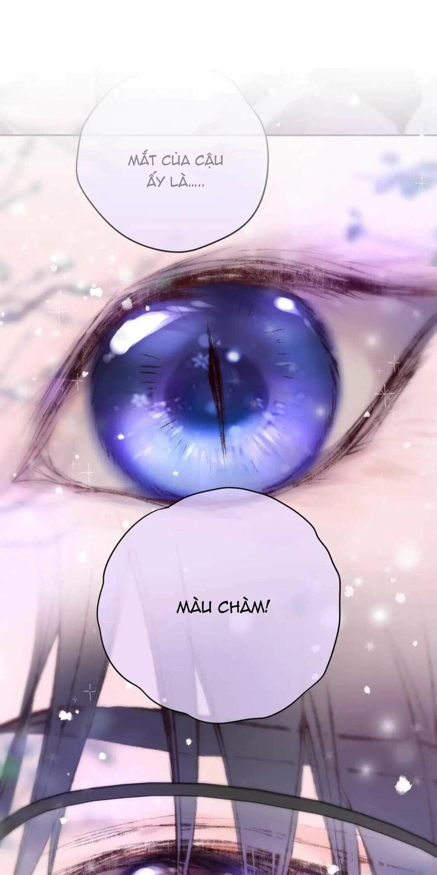 Cạm Bẫy Của Hồ Ly Chapter 63 - 3