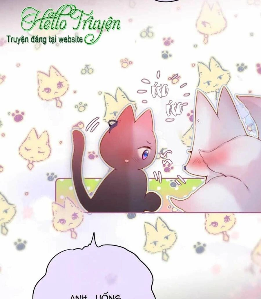 Cạm Bẫy Của Hồ Ly Chapter 65 - 25