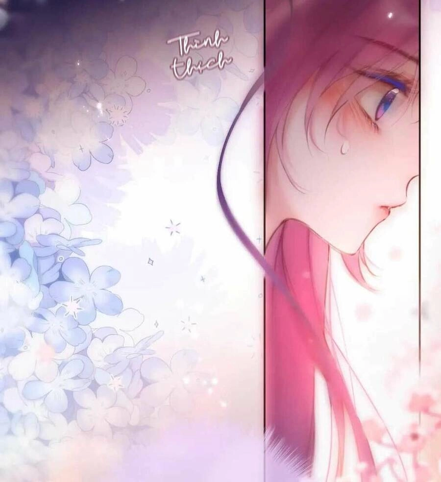 Cạm Bẫy Của Hồ Ly Chapter 65 - 39