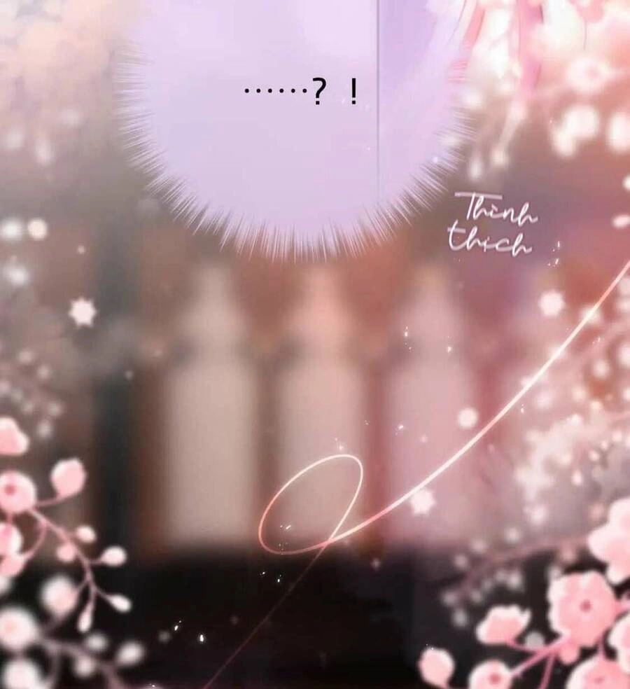 Cạm Bẫy Của Hồ Ly Chapter 65 - 40