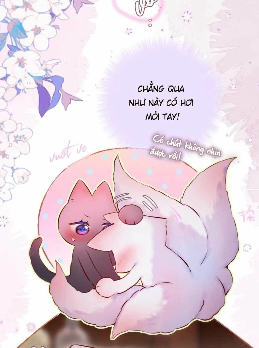 Cạm Bẫy Của Hồ Ly Chapter 66 - 28