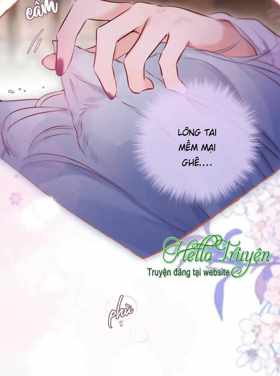 Cạm Bẫy Của Hồ Ly Chapter 66 - 29