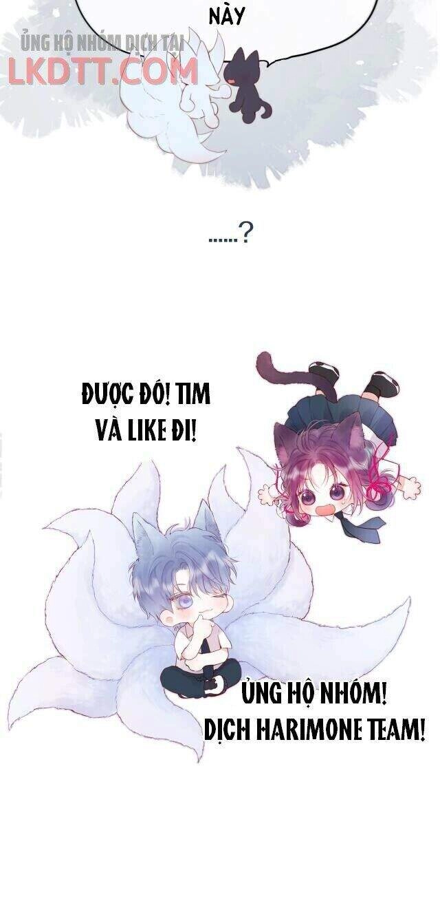 Cạm Bẫy Của Hồ Ly Chapter 1 - 21