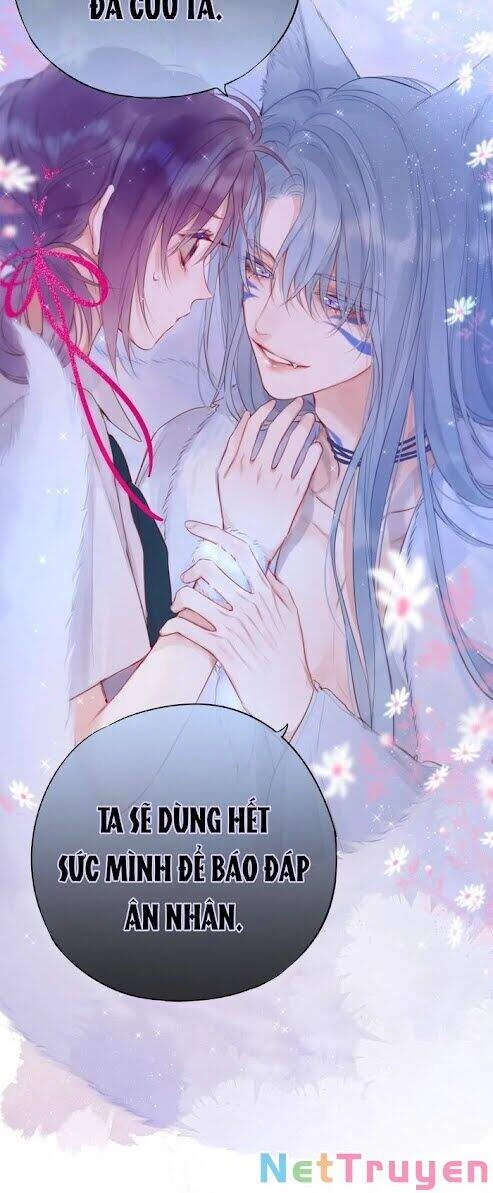 Cạm Bẫy Của Hồ Ly Chapter 2 - 11