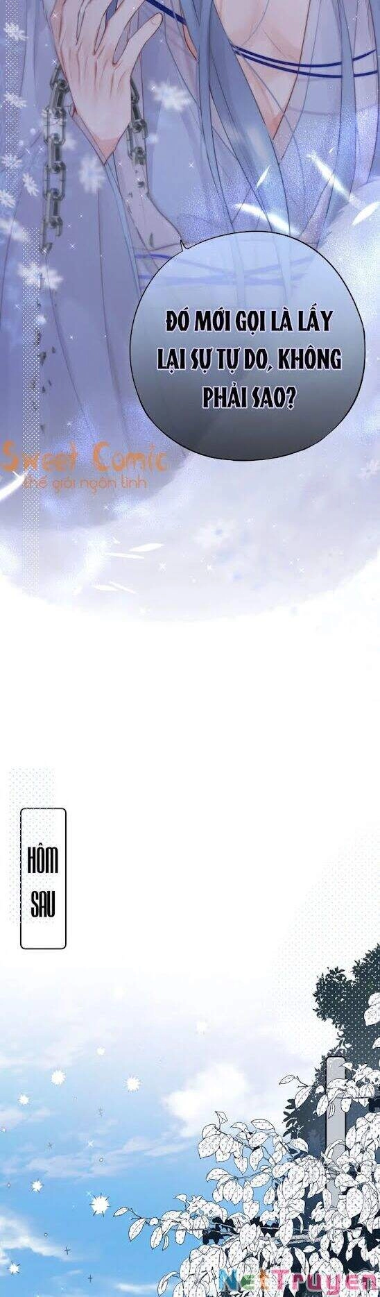 Cạm Bẫy Của Hồ Ly Chapter 2 - 17