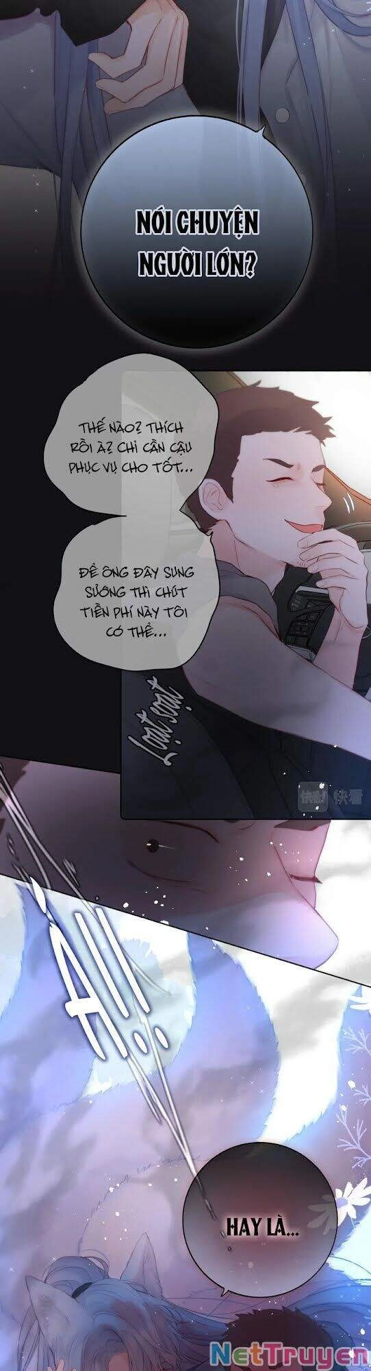 Cạm Bẫy Của Hồ Ly Chapter 2 - 26