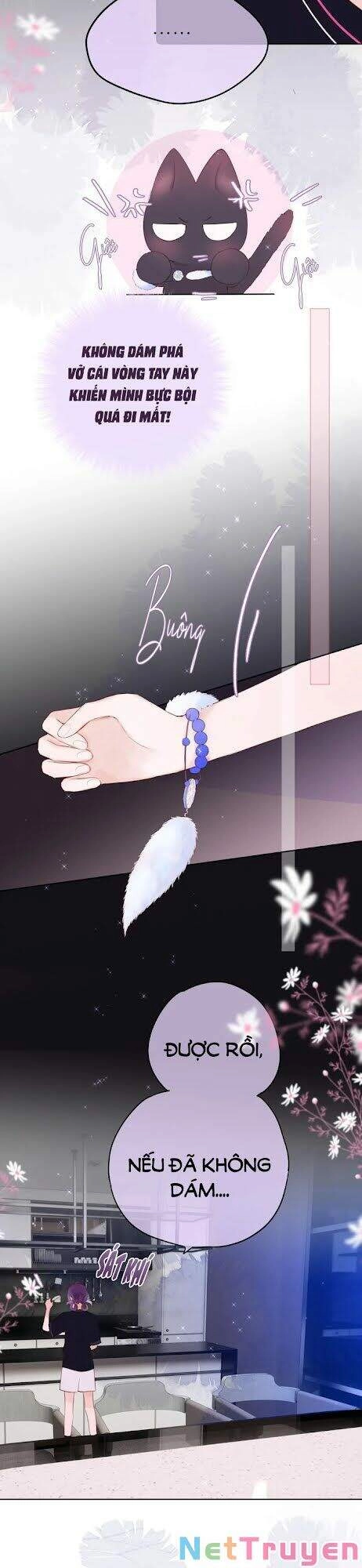 Cạm Bẫy Của Hồ Ly Chapter 2 - 33