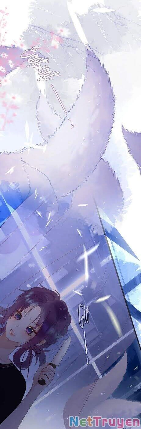 Cạm Bẫy Của Hồ Ly Chapter 2 - 34