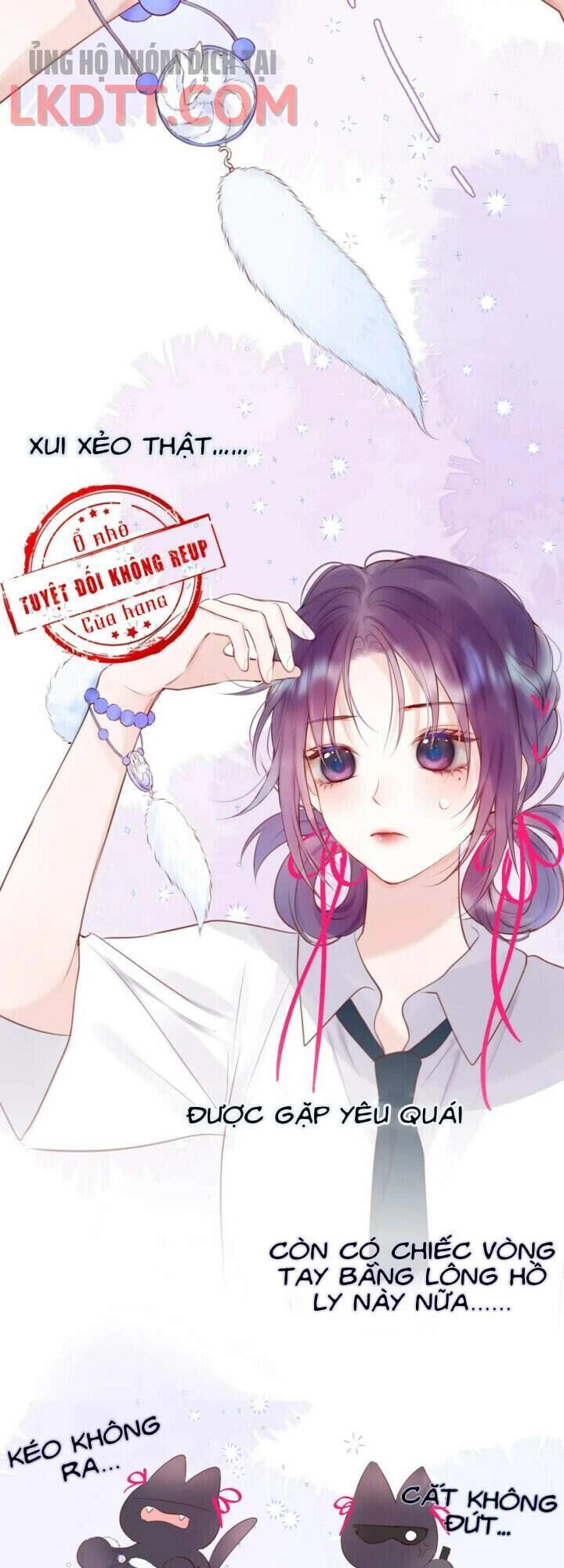 Cạm Bẫy Của Hồ Ly Chapter 3 - 11