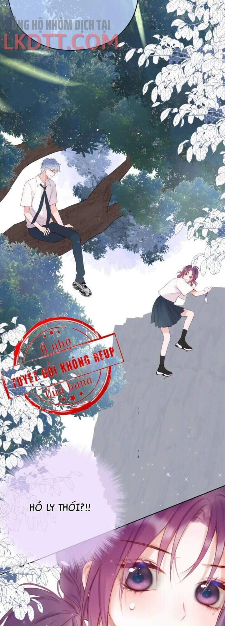 Cạm Bẫy Của Hồ Ly Chapter 3 - 19