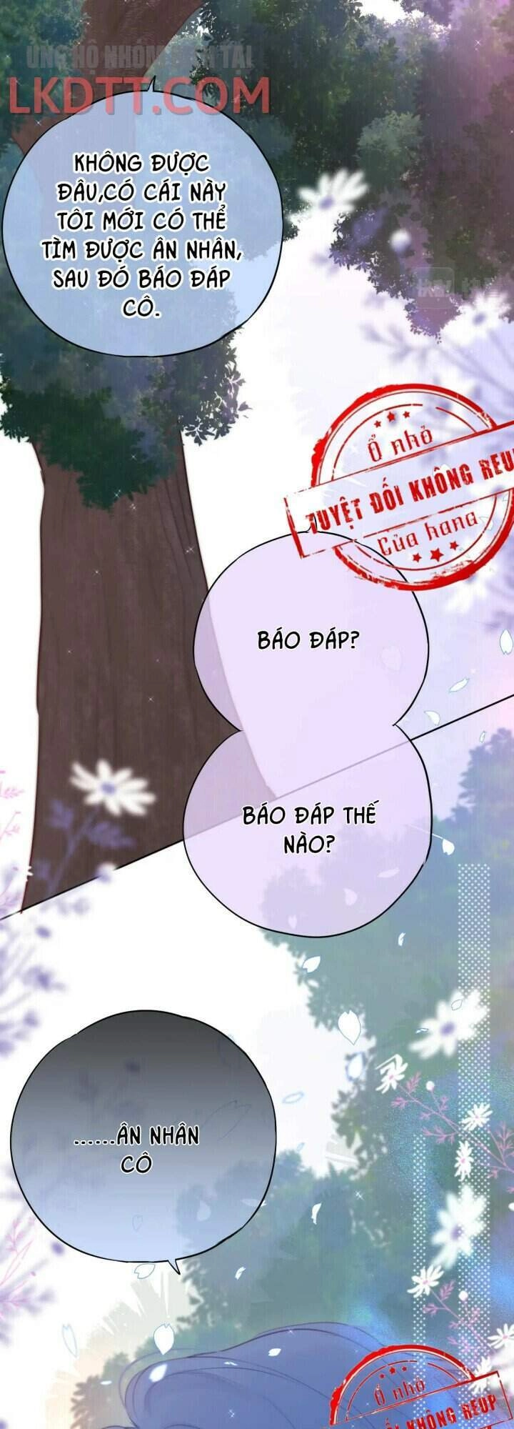 Cạm Bẫy Của Hồ Ly Chapter 3 - 25