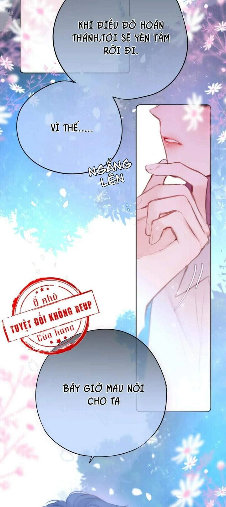 Cạm Bẫy Của Hồ Ly Chapter 3 - 28