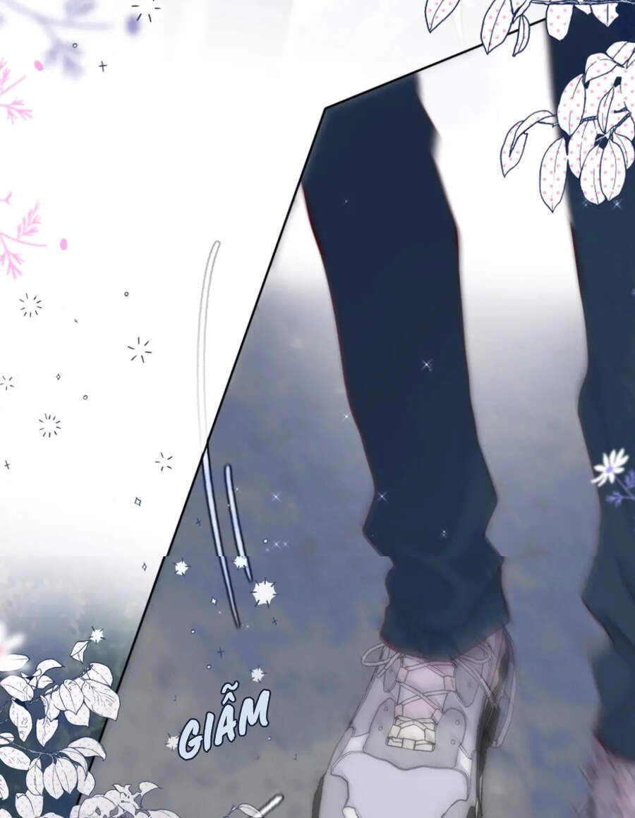 Cạm Bẫy Của Hồ Ly Chapter 4 - 13