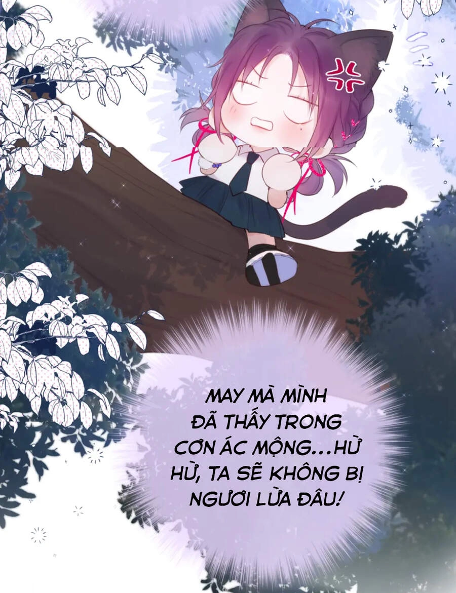 Cạm Bẫy Của Hồ Ly Chapter 4 - 17