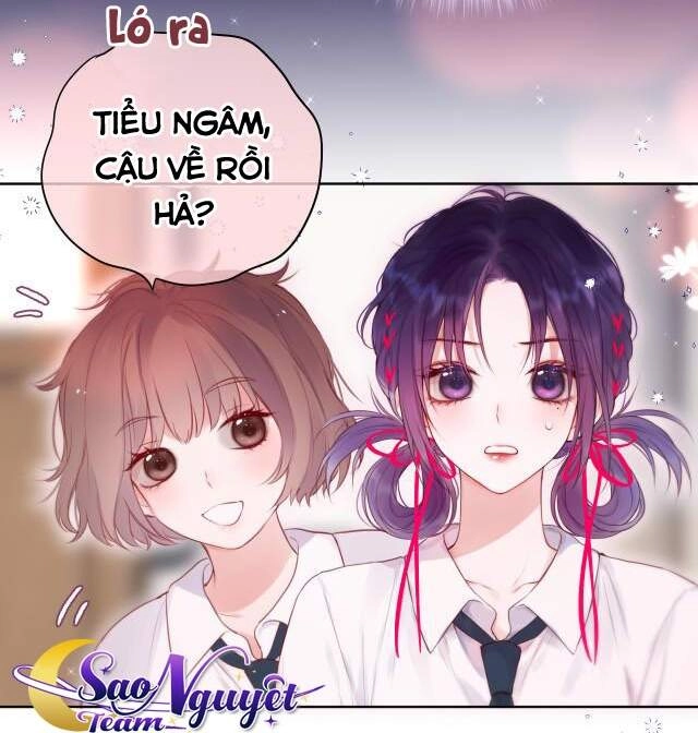 Cạm Bẫy Của Hồ Ly Chapter 5 - 14