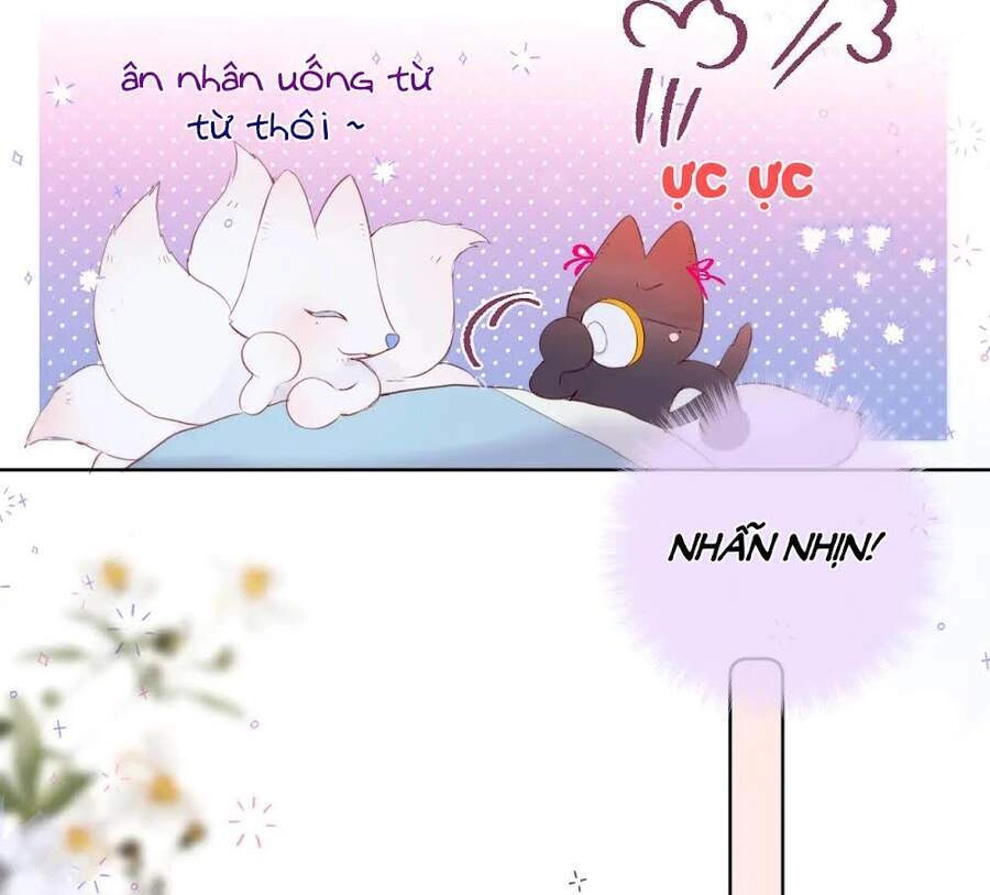 Cạm Bẫy Của Hồ Ly Chapter 6 - 25