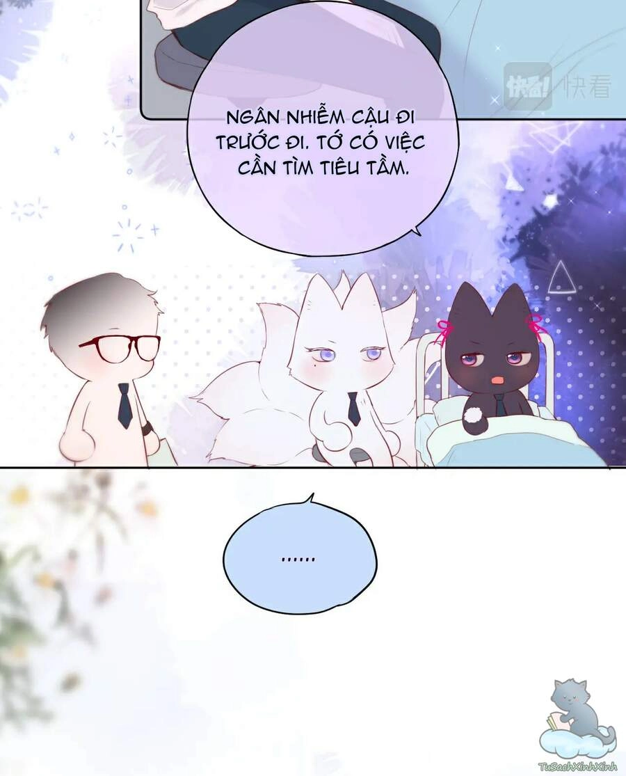 Cạm Bẫy Của Hồ Ly Chapter 7 - 7