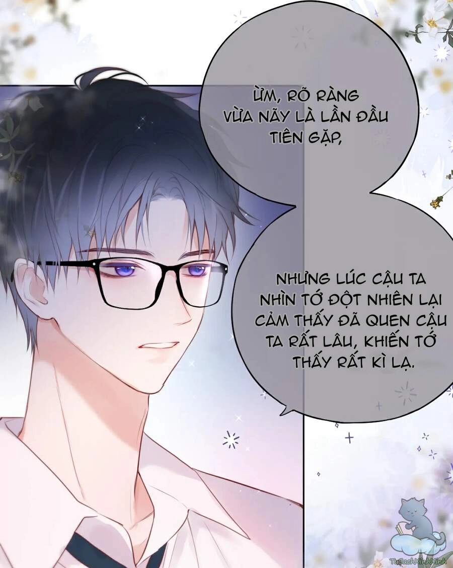 Cạm Bẫy Của Hồ Ly Chapter 7 - 15
