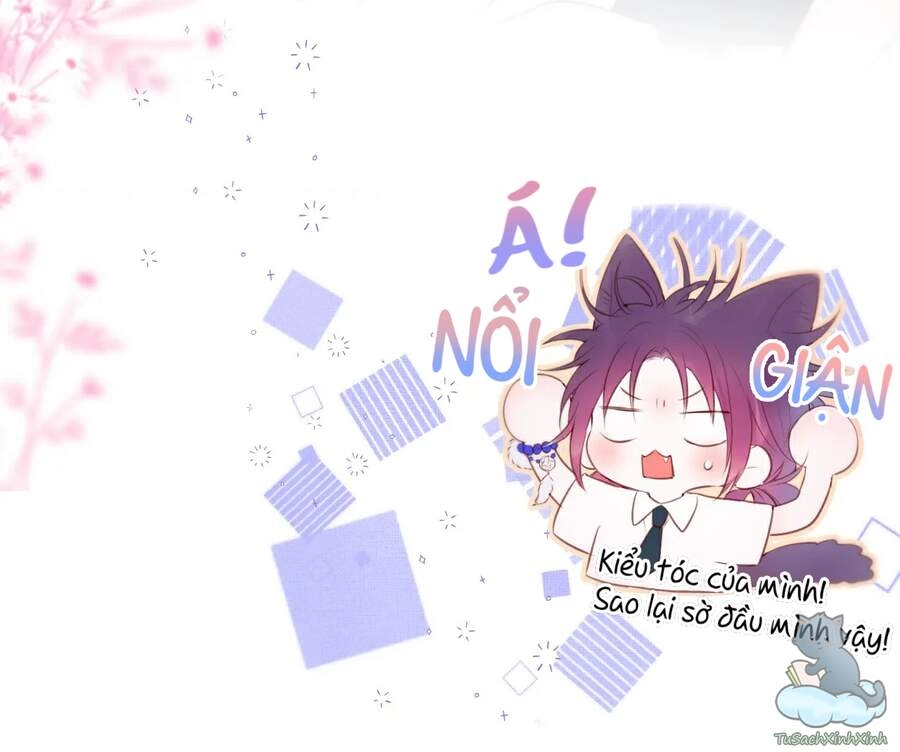 Cạm Bẫy Của Hồ Ly Chapter 7 - 21