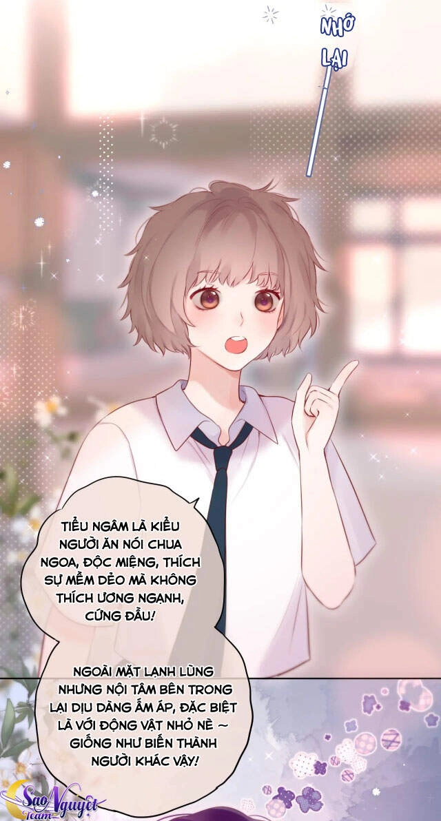 Cạm Bẫy Của Hồ Ly Chapter 8 - 6