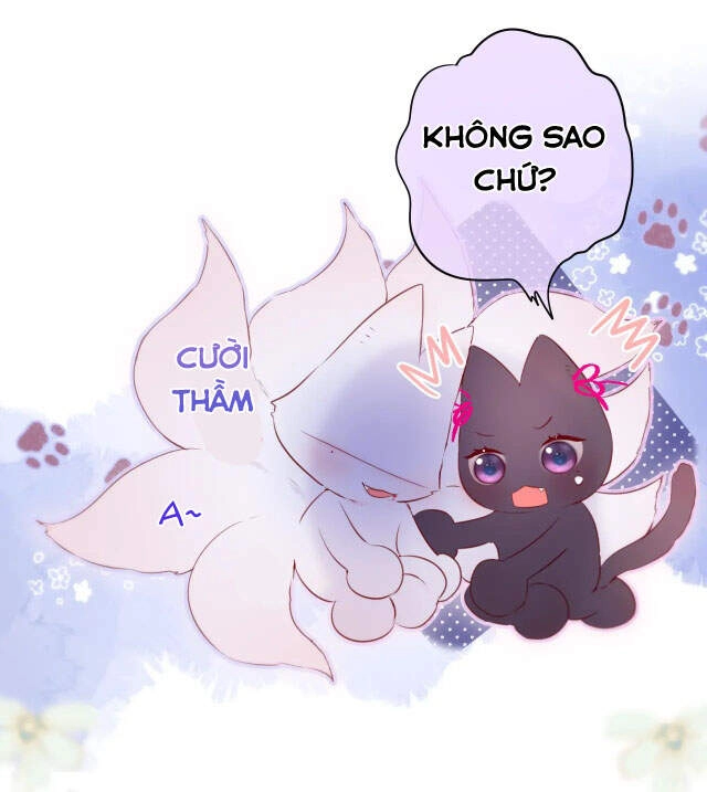 Cạm Bẫy Của Hồ Ly Chapter 8 - 22