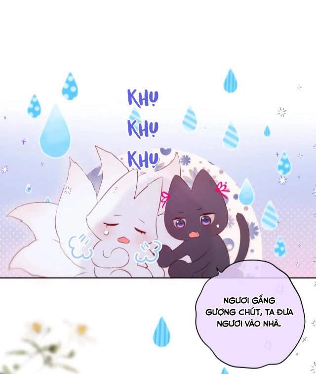 Cạm Bẫy Của Hồ Ly Chapter 8 - 28