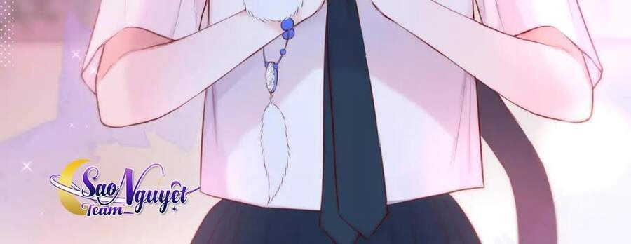 Cạm Bẫy Của Hồ Ly Chapter 9 - 23