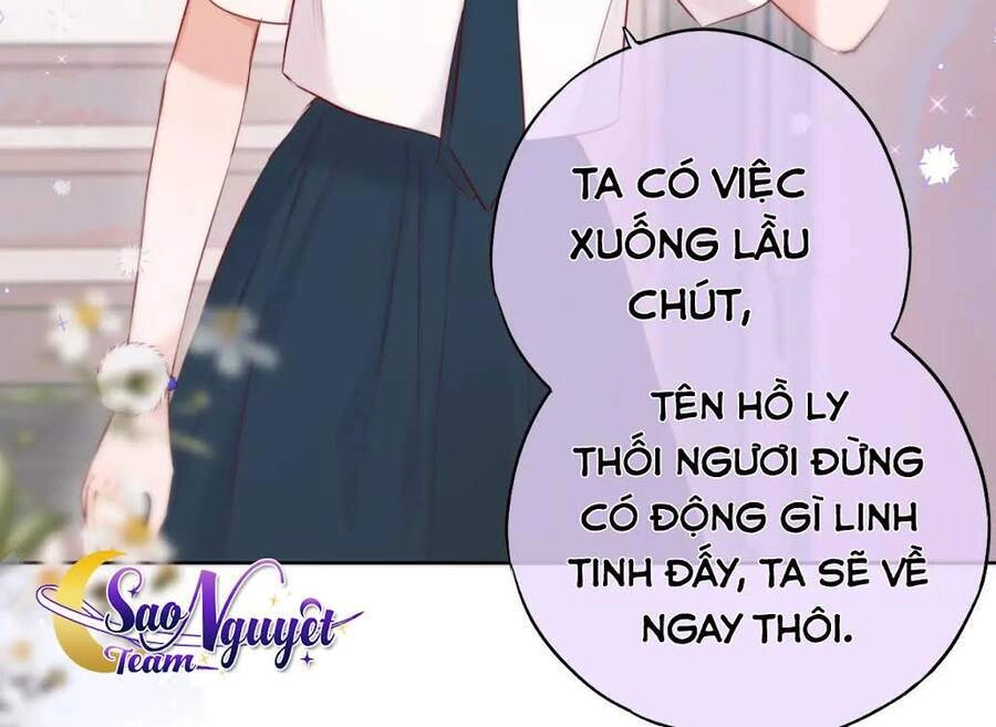Cạm Bẫy Của Hồ Ly Chapter 11 - 11