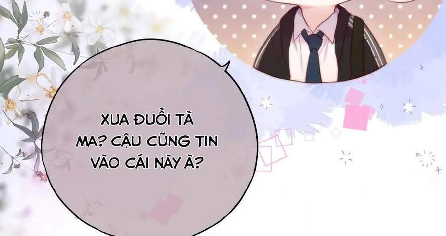 Cạm Bẫy Của Hồ Ly Chapter 11 - 24