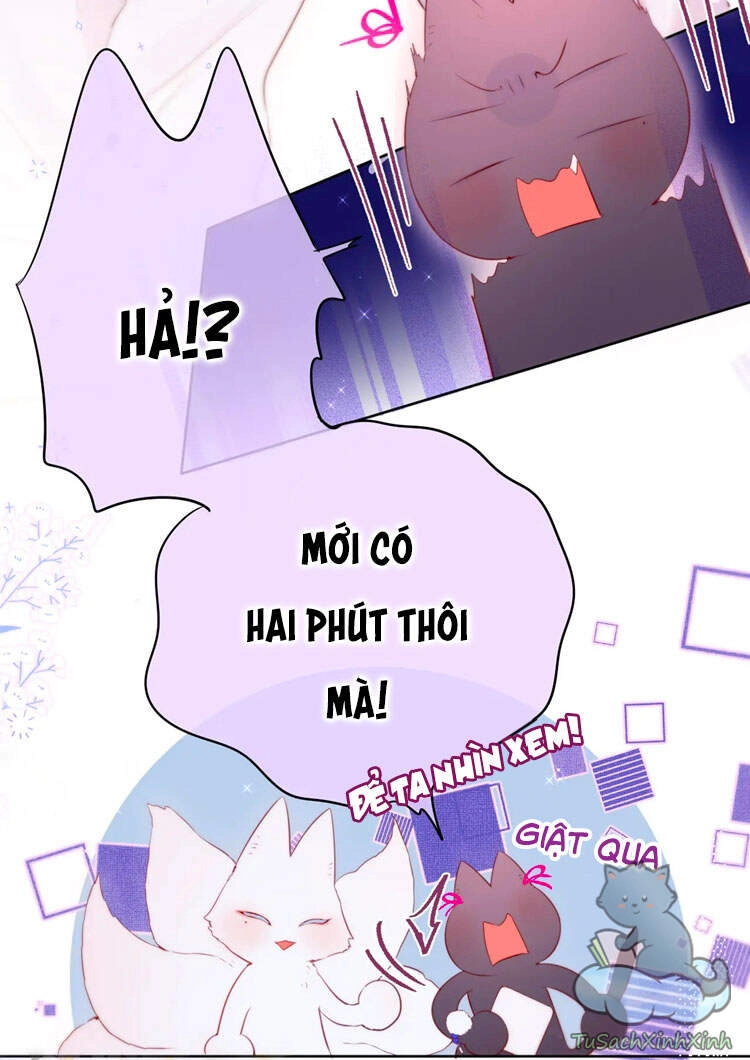 Cạm Bẫy Của Hồ Ly Chapter 12 - 27