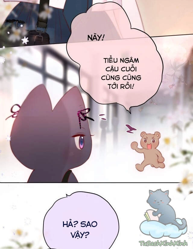 Cạm Bẫy Của Hồ Ly Chapter 13 - 17