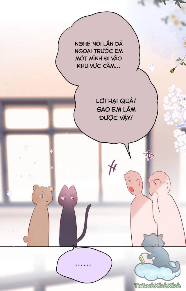 Cạm Bẫy Của Hồ Ly Chapter 13 - 25