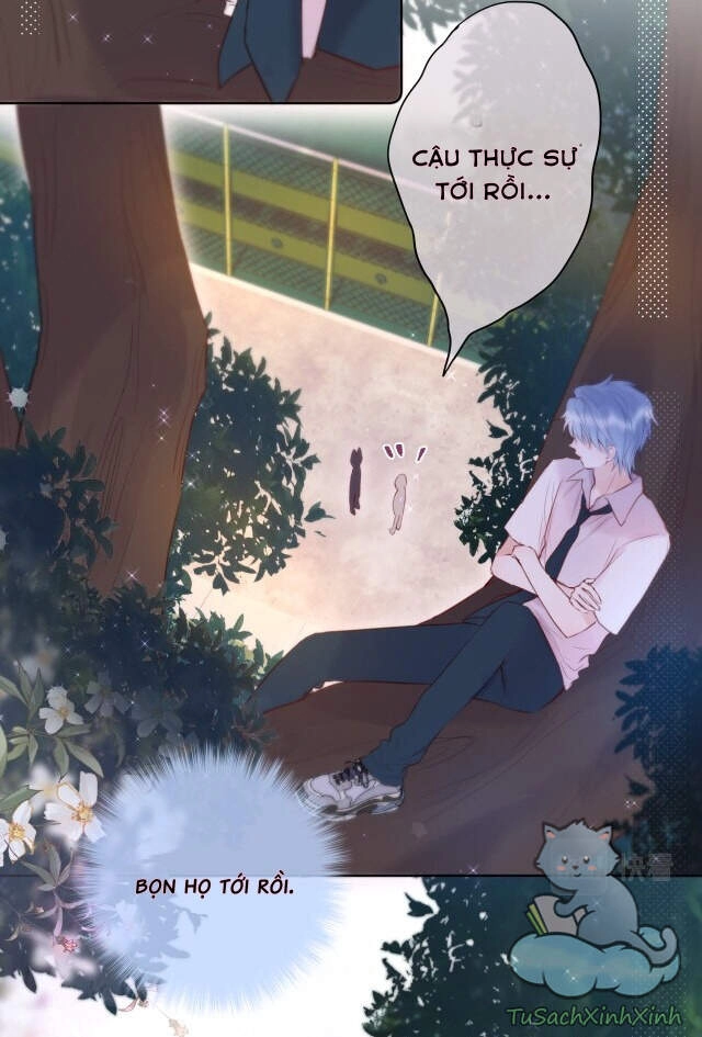 Cạm Bẫy Của Hồ Ly Chapter 14 - 15