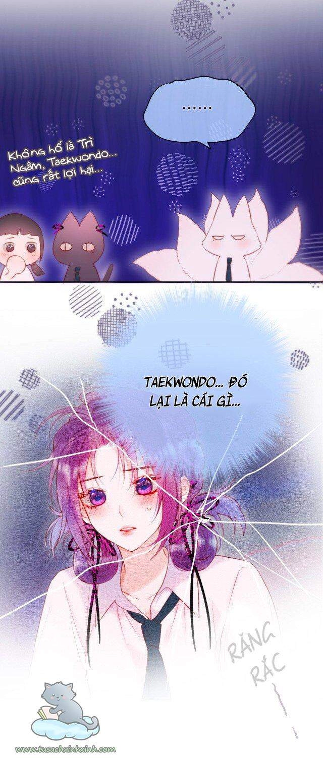 Cạm Bẫy Của Hồ Ly Chapter 15 - 31