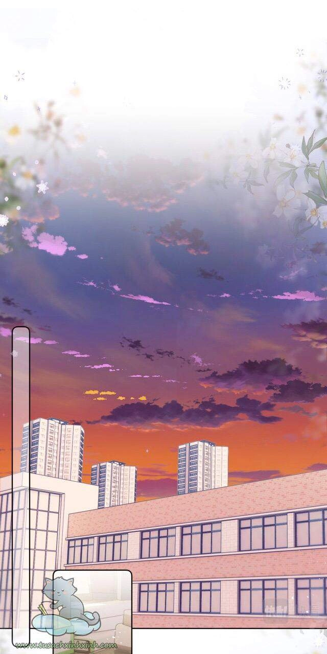 Cạm Bẫy Của Hồ Ly Chapter 15 - 32