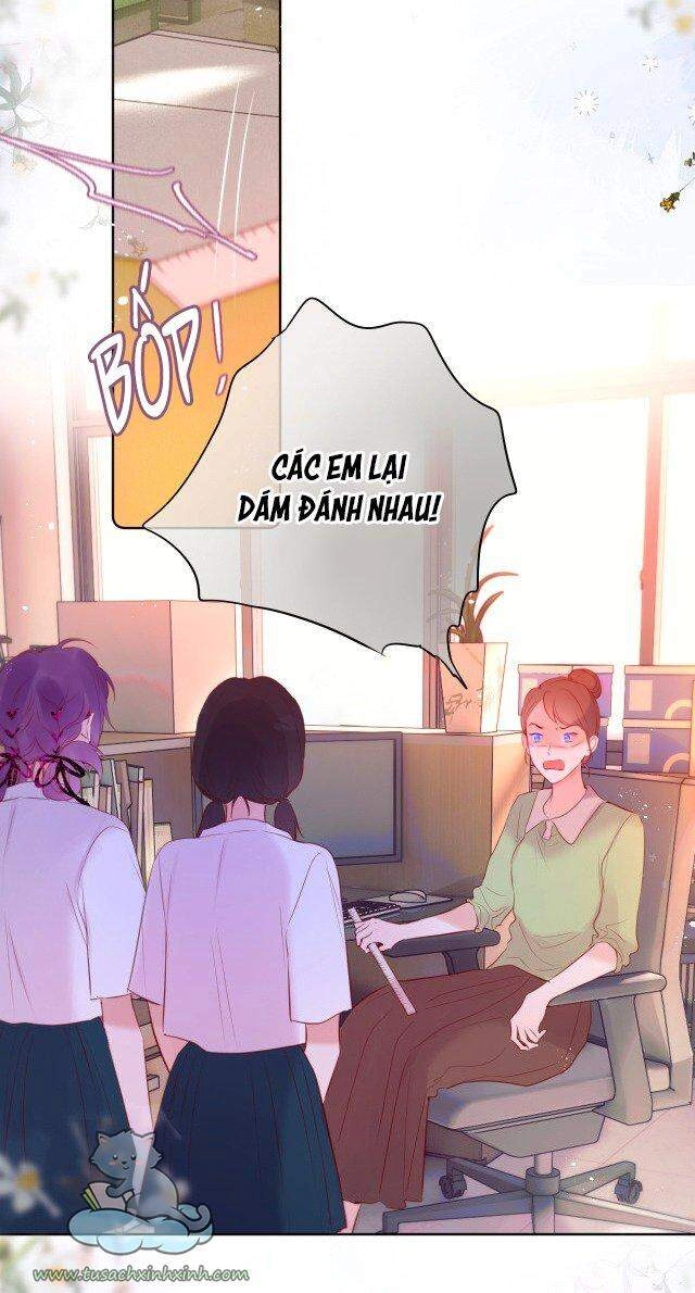 Cạm Bẫy Của Hồ Ly Chapter 15 - 33
