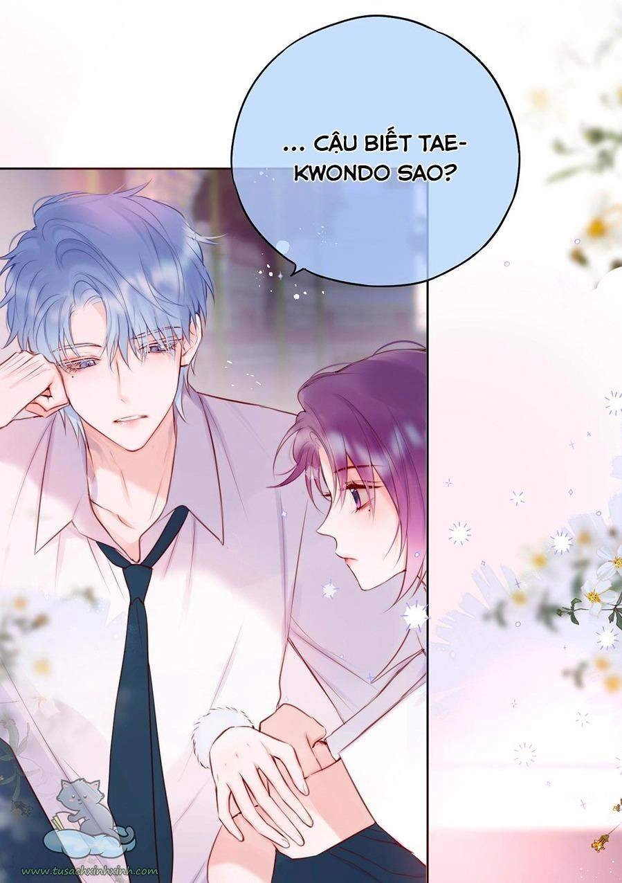 Cạm Bẫy Của Hồ Ly Chapter 16 - 14