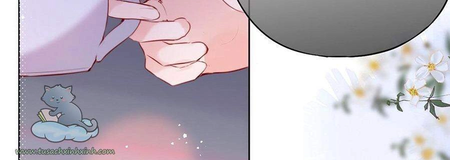 Cạm Bẫy Của Hồ Ly Chapter 16 - 26