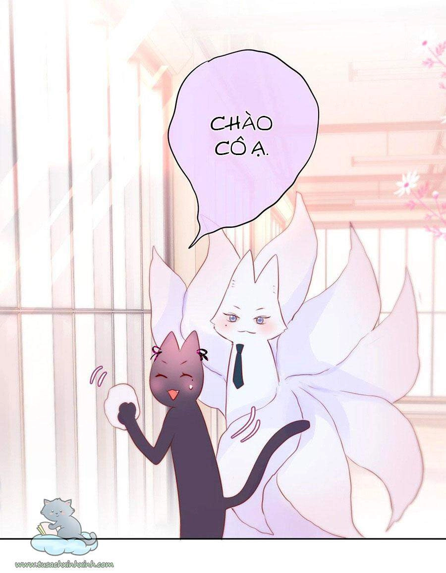 Cạm Bẫy Của Hồ Ly Chapter 17 - 10