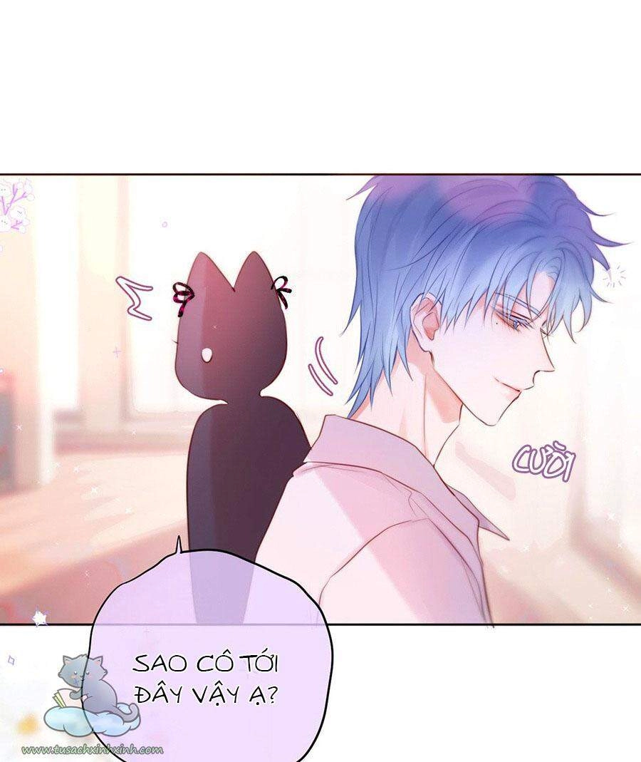 Cạm Bẫy Của Hồ Ly Chapter 17 - 11