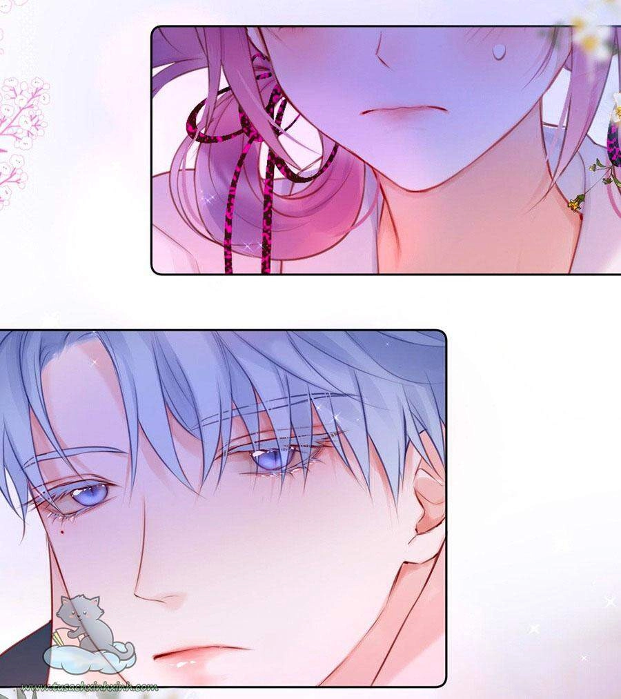 Cạm Bẫy Của Hồ Ly Chapter 17 - 37