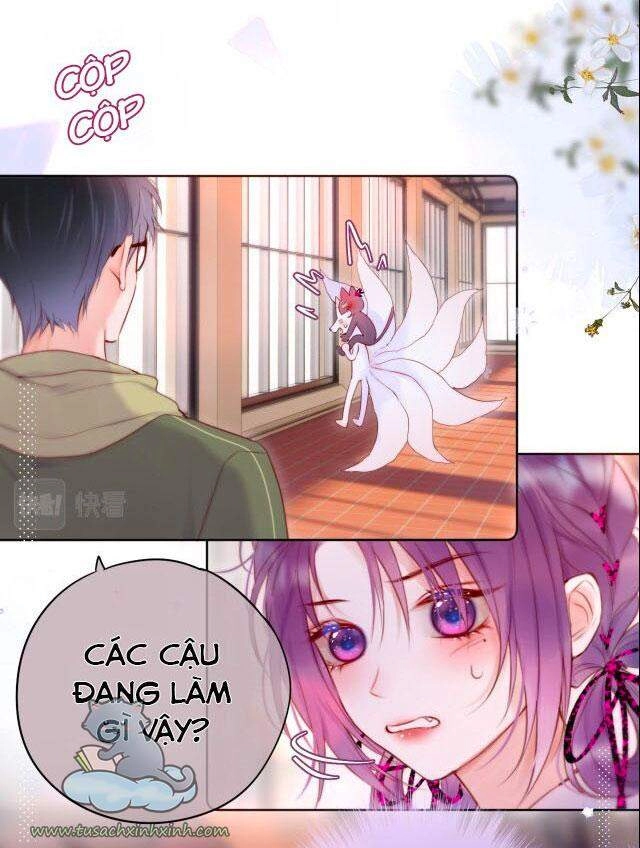 Cạm Bẫy Của Hồ Ly Chapter 18 - 6