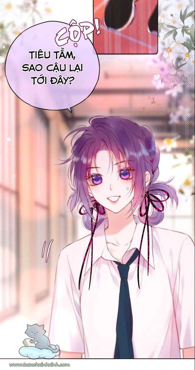 Cạm Bẫy Của Hồ Ly Chapter 18 - 9