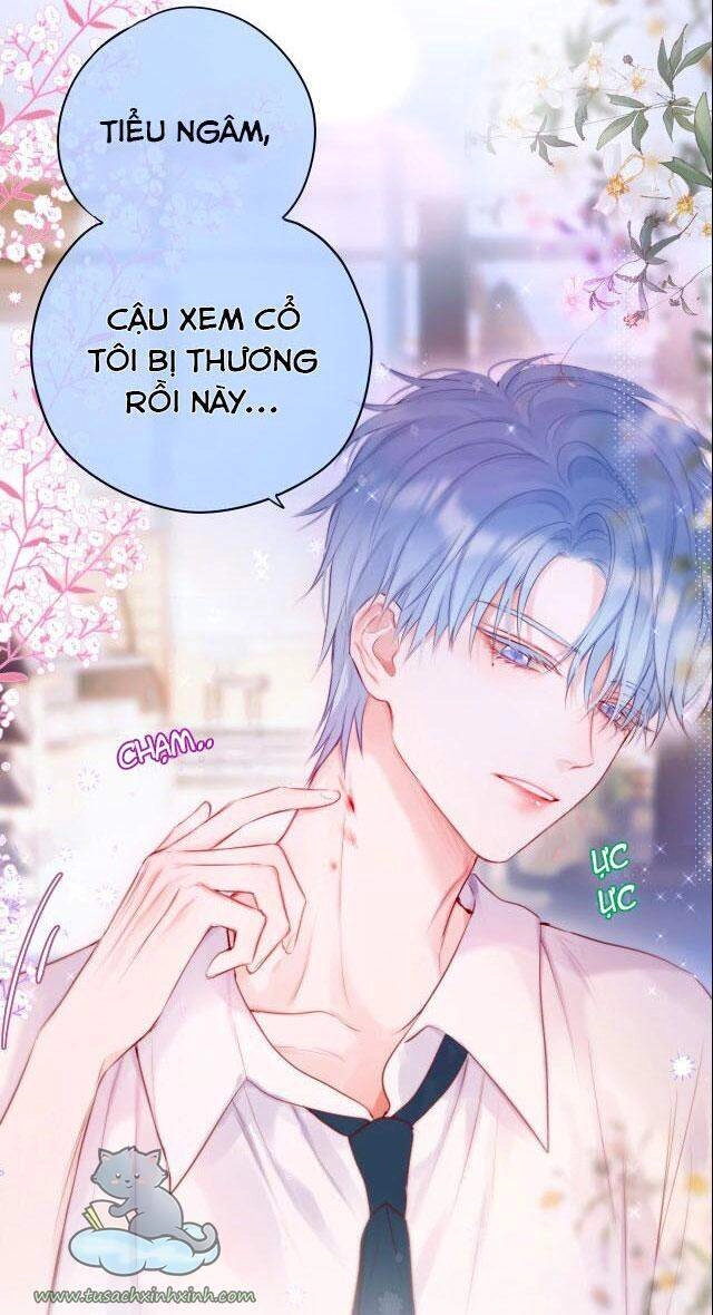 Cạm Bẫy Của Hồ Ly Chapter 18 - 36