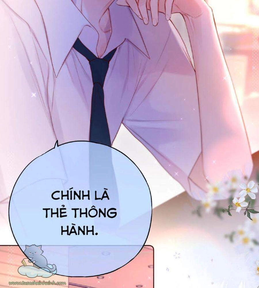 Cạm Bẫy Của Hồ Ly Chapter 19 - 8