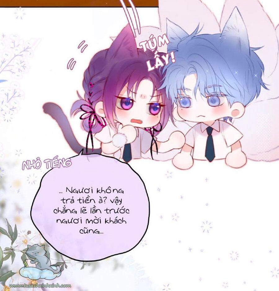 Cạm Bẫy Của Hồ Ly Chapter 19 - 10