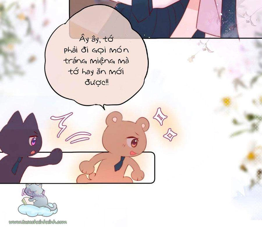 Cạm Bẫy Của Hồ Ly Chapter 19 - 23